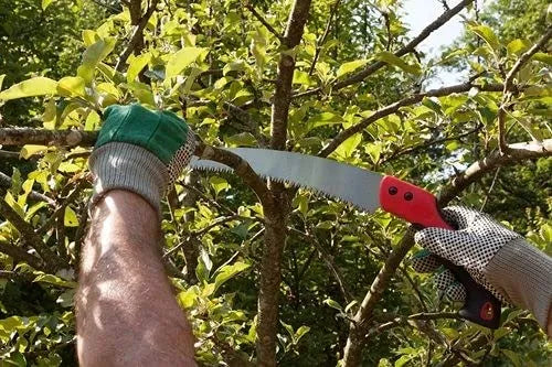 Best chromium steel saw - hand saws | 2025 | fast shipping