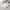 Best clear cookie bags gift bag flat treat - home & garden | 2026 | fast shipping