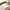 Best clear cookie bags gift bag flat treat - home & garden | 2026 | fast shipping