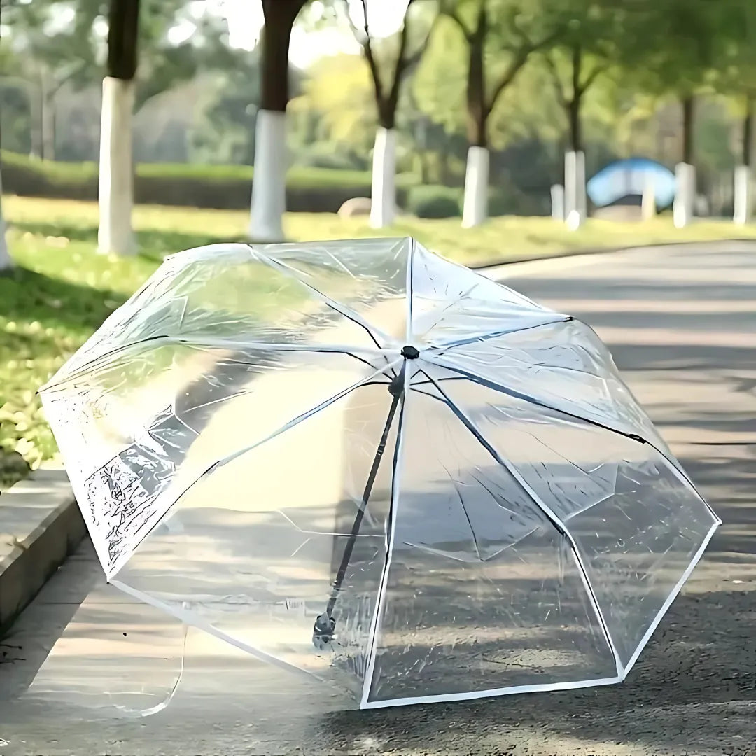 Clear Dome See Through Umbrella