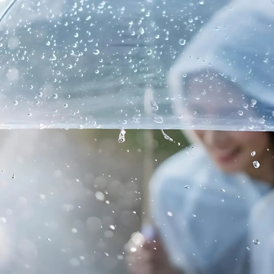 Clear Dome See Through Umbrella