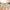 Colorful Paper Cups Set - Home & Kitchen