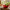 Best compact kitchen storage rack - household containers | 2026 | fast shipping