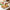 Best cookie cutter shapes (12 pcs set) - cutters | 2026 | fast shipping