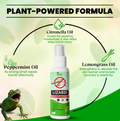 Lizard Repellent Spray(Pack of 2)
