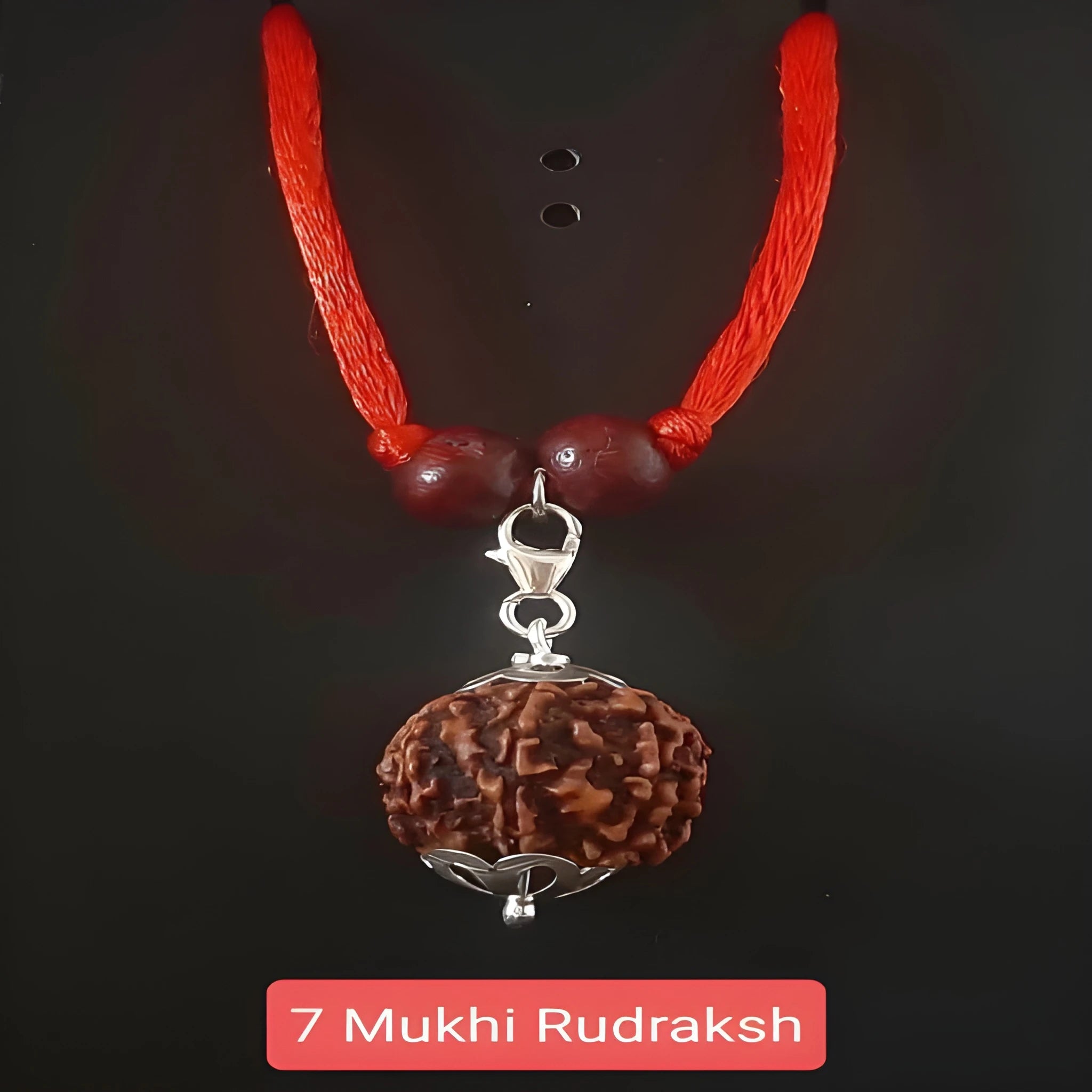 Sacred Shiva Rudraksha Pendant