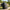 Best dell unisex laptop backpack - backpacks | 2026 | fast shipping