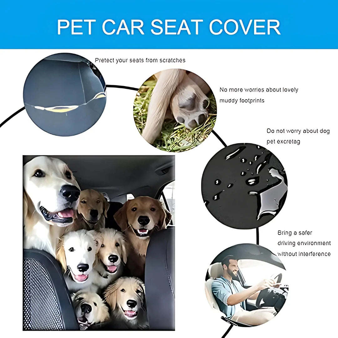 Dog Car Seat