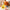 Best duck pull along toy - push & toys | 2025 | fast shipping