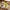 Best dumpling maker - kitchen molds | 2026 | fast shipping