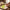 Best dumpling maker - kitchen molds | 2026 | fast shipping