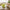 Best dumpling maker - kitchen molds | 2026 | fast shipping
