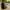 Best durable laptop backpack - bags | 2026 | fast shipping