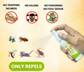 Eco Mite Spray(Pack of 2)