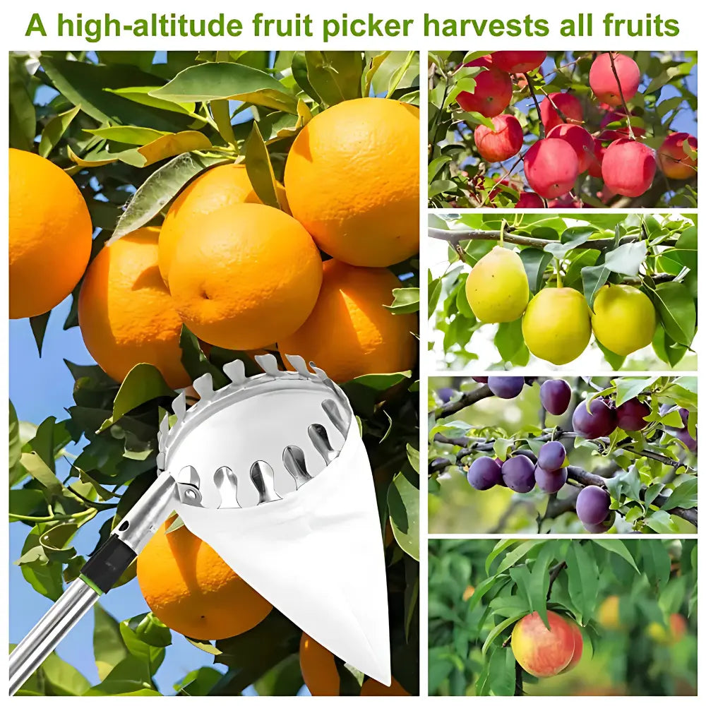 Effortless Fruit Picker Tool garden & outdoor