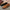 Effortless Tan Commuter Shoes Shoes