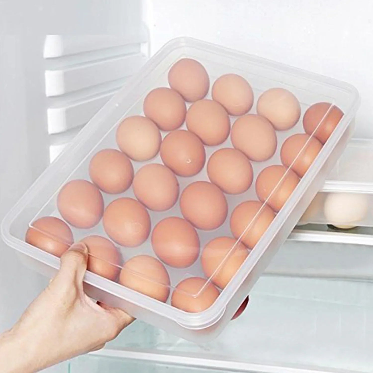 Best egg storage container – 24 eggs - food containers | 2025 | fast shipping