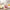 Best electric egg boiler steamer - cookers | 2026 | fast shipping