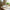 Best electric toothbrush for adults & teens - toothbrushes | 2026 | fast shipping