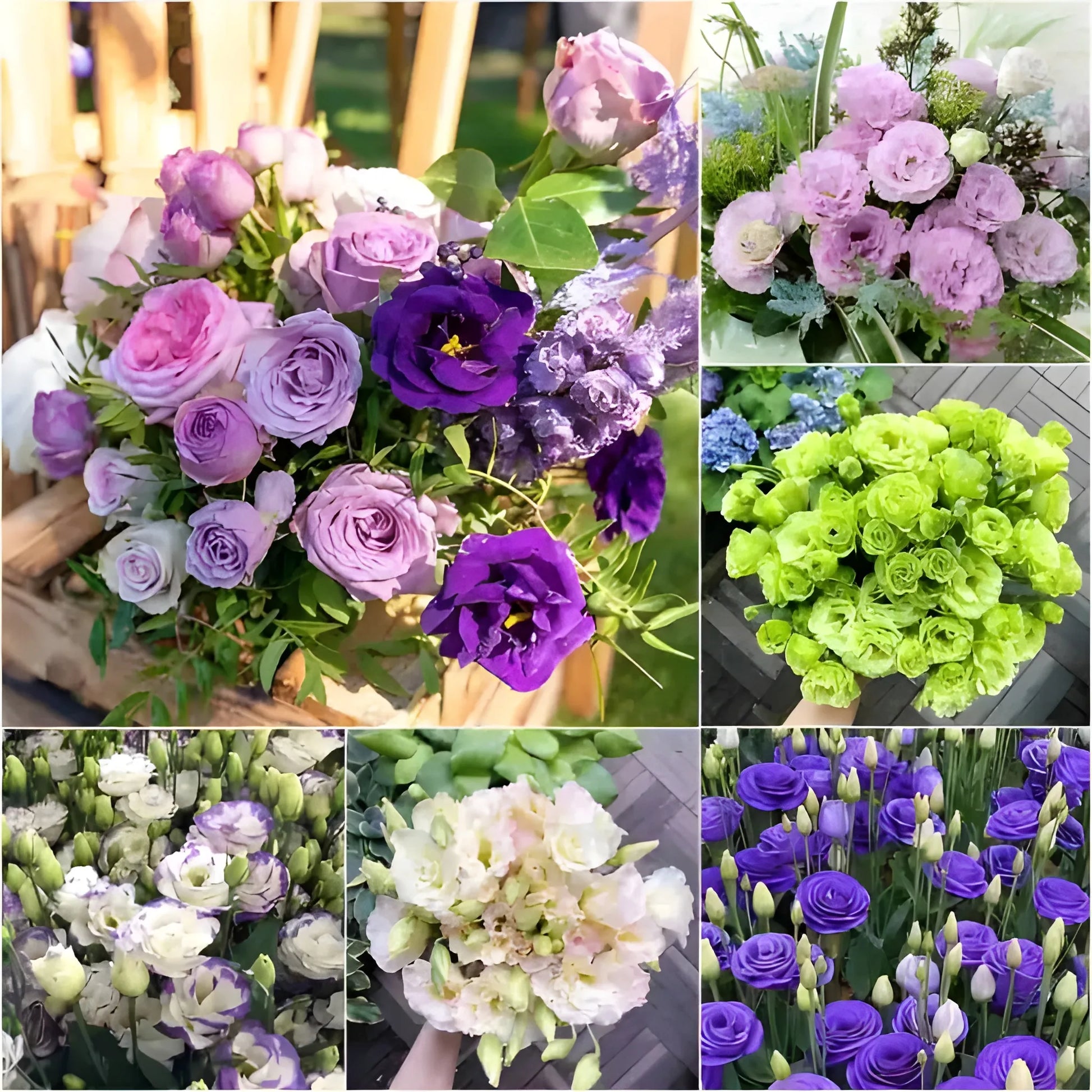 Elegant Lisianthus Flower Seeds
