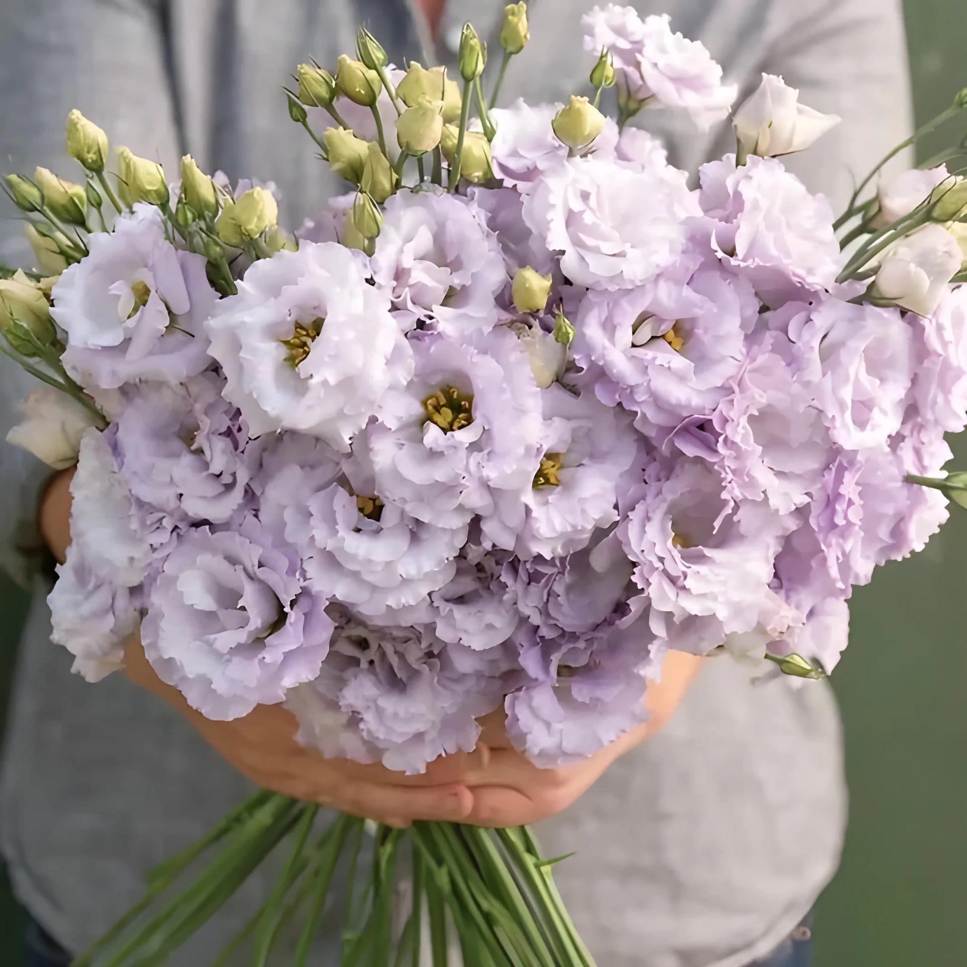 Elegant Lisianthus Flower Seeds