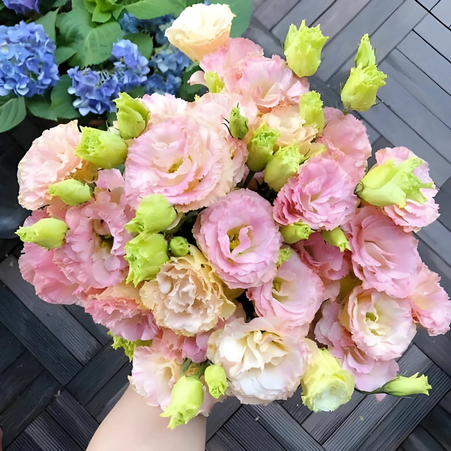 Elegant Lisianthus Flower Seeds