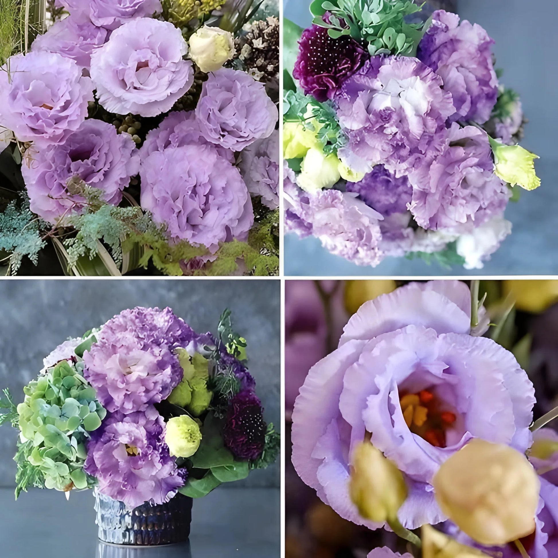 Elegant Lisianthus Flower Seeds