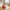 Best ergonomic long handle dustpan - dustpans | 2026 | fast shipping
