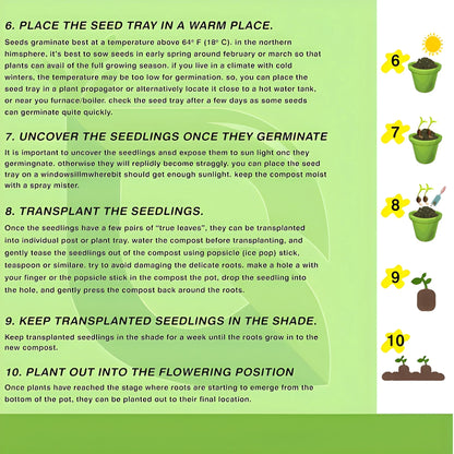 Exotic Dragon Bean Seeds