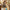 Best extendable broom stick - brooms | 2026 | fast shipping