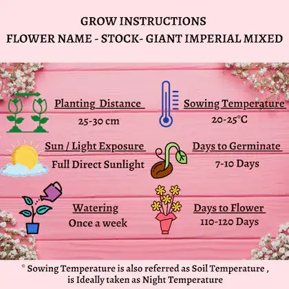 Varieties of Flower Seeds (Pack of 100)