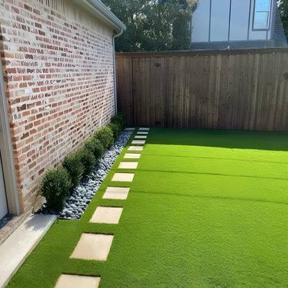 Fast Growing Hybrid Grass Seeds