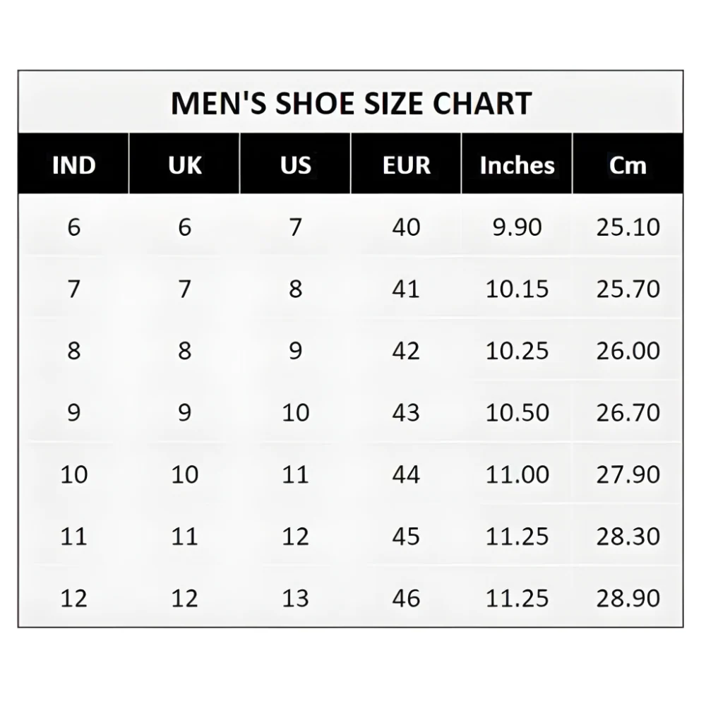 Ferrari Speed Sneakers Shoes