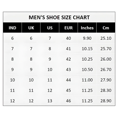 Ferrari Speed Sneakers Shoes