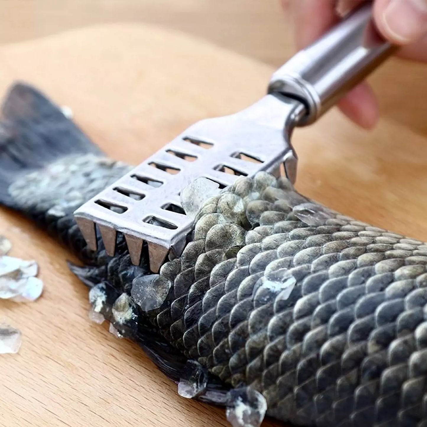 Best fish scale remover scraper - kitchen scrapers | 2025 | fast shipping