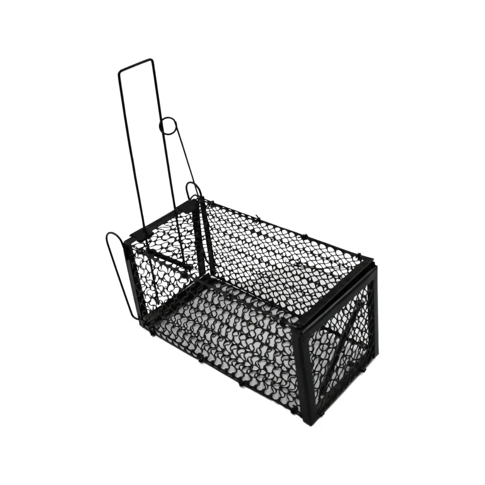 Best foldable small live animal trap - traps | 2025 | fast shipping