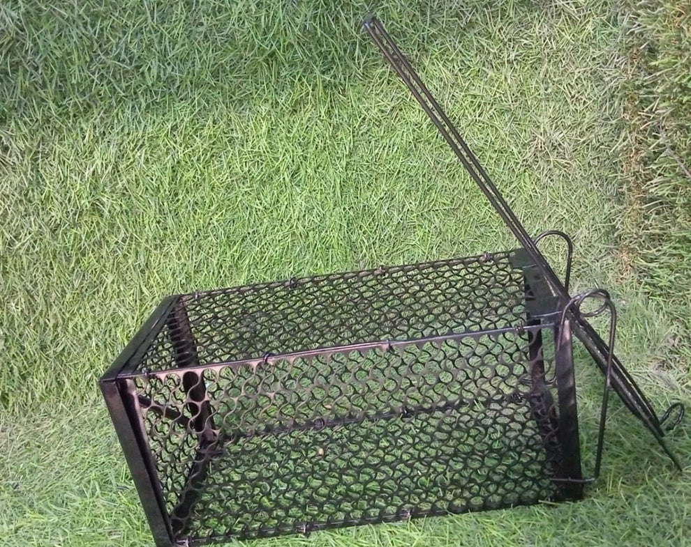 Best foldable small live animal trap - traps | 2025 | fast shipping
