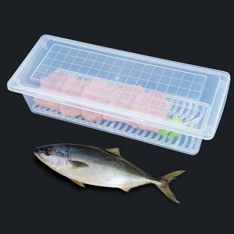 Best food storage container - containers | 2025 | fast shipping