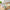 Best fridge storage boxes (1 pc) - food containers | 2026 | fast shipping