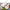 Best fritters maker scoop - 2025 | fast shipping