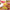 Best fruit peeler baller - food peelers | 2025 | fast shipping