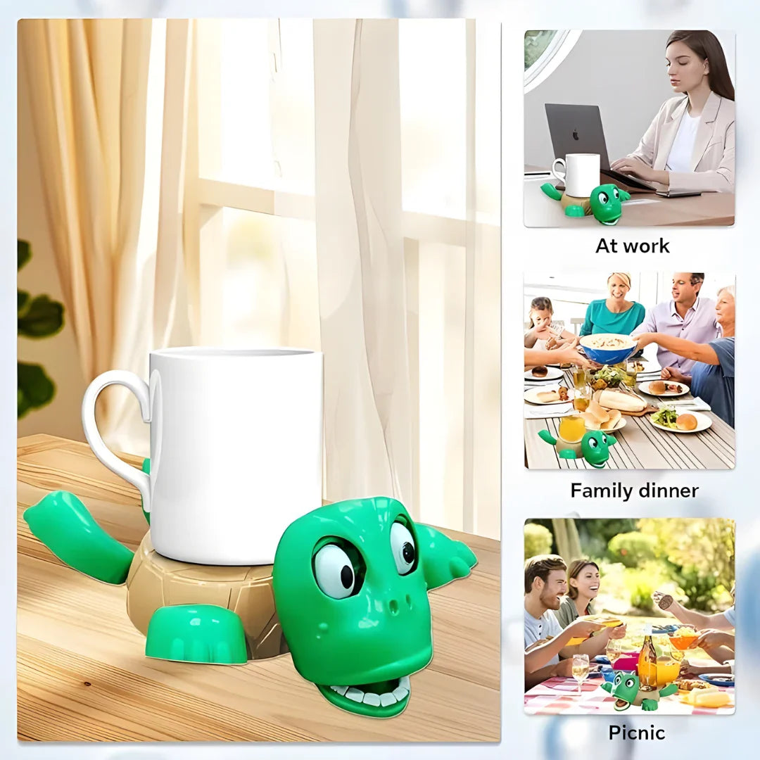 Funny Turtle Coaster