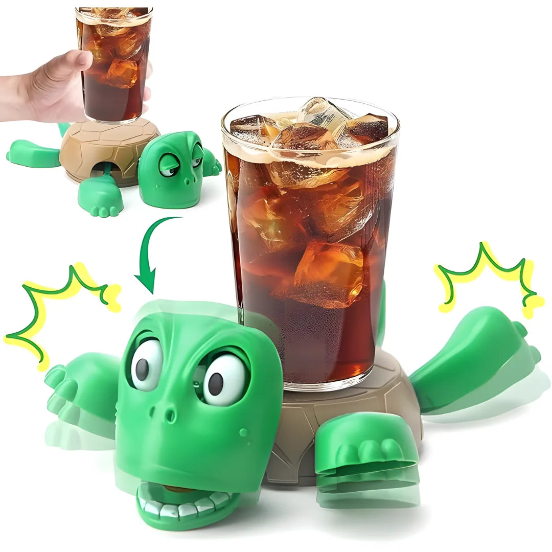 Funny Turtle Coaster