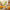 Best ganesh smart manual juicer - juicers | 2026 | fast shipping