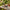 Heavy Duty Gardening Tool