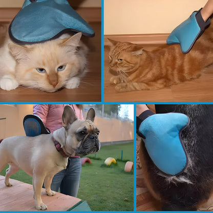 Best gentle pet hair glove - grooming supplies | 2025 | fast shipping