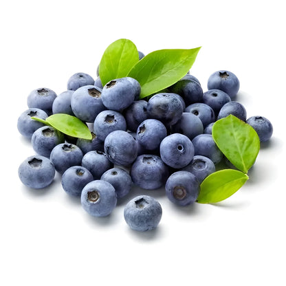 Giant Blueberry Superfood Seeds