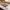 Best glass dessert bowls - 2026 | fast shipping