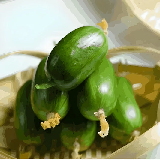 Golden Boy Cucumber Seeds