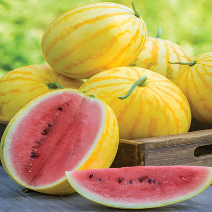 Golden Red Watermelon Seeds